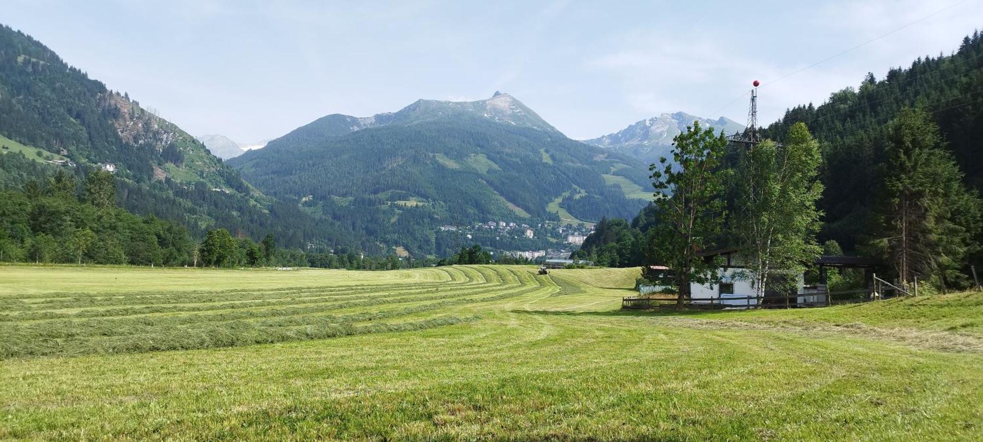Bio Bauernhof Schweizerhof Villa Bad Hofgastein Exterior photo